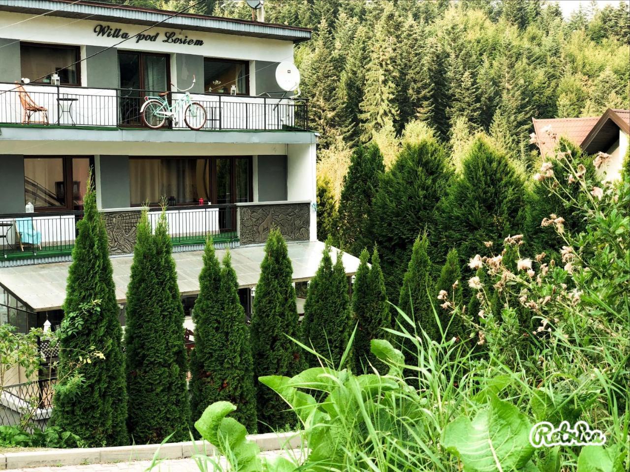 Willa Pod Losiem Krynica-Zdrój Exteriör bild